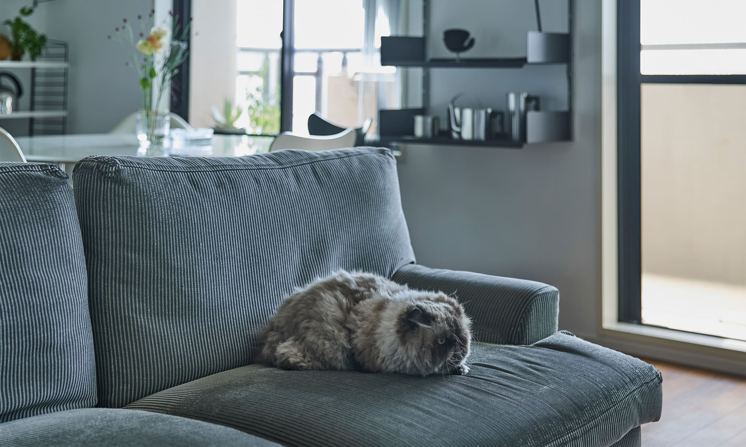 Aさま邸｜大阪府堺市