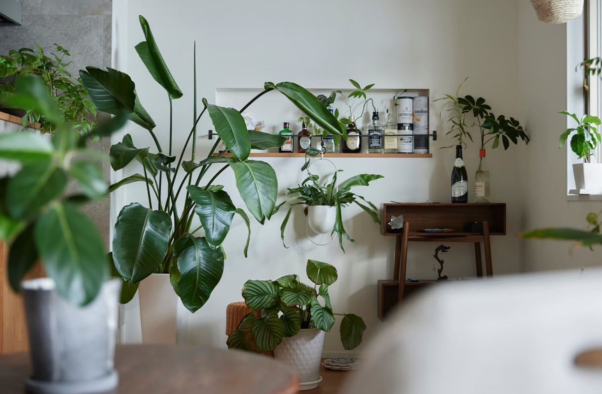 H-HOUSE – hyogo nishinomiya